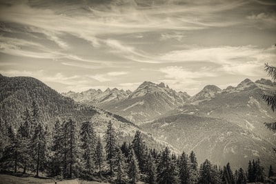 The day is snow mountain near the green pine trees
